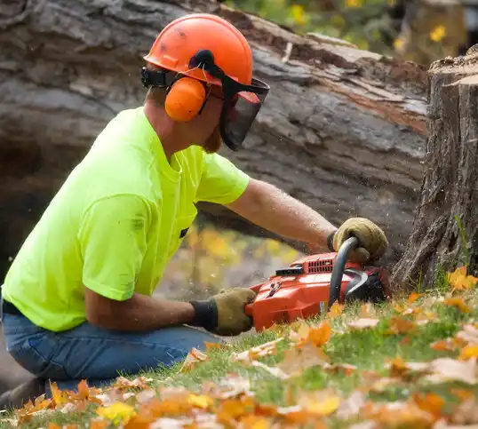 tree services Pascagoula